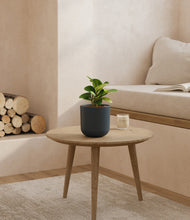 Load image into Gallery viewer, Iron Gray