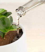 Load image into Gallery viewer, White stand:all