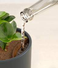 Load image into Gallery viewer, Iron Gray stand:all