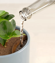 Load image into Gallery viewer, Misty Blue stand:all