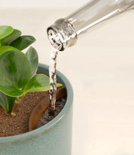 Load image into Gallery viewer, Reactive Aqua stand:all