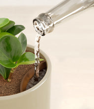 Load image into Gallery viewer, Sage Green stand:all