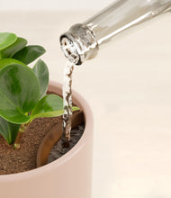 Load image into Gallery viewer, Sandy Pink stand:all