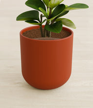 Load image into Gallery viewer, Earth Red stand:all