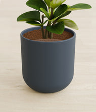 Load image into Gallery viewer, Iron Gray stand:all