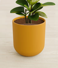 Load image into Gallery viewer, Sunset Orange stand:all