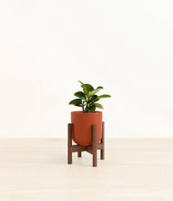 Load image into Gallery viewer, Earth Red stand:walnut