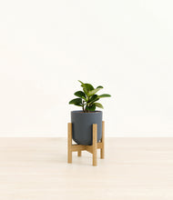 Load image into Gallery viewer, Iron Gray stand:bamboo