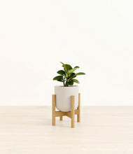 Load image into Gallery viewer, Natural Bamboo stand:bamboo