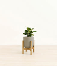 Load image into Gallery viewer, Sage Green stand:bamboo