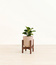 Load image into Gallery viewer, Sandy Pink stand:walnut