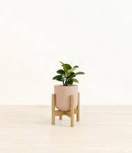 Load image into Gallery viewer, Sandy Pink stand:bamboo