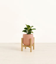Load image into Gallery viewer, Calm Rose stand:bamboo