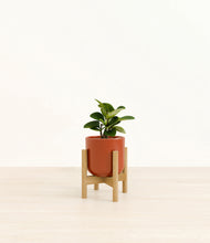 Load image into Gallery viewer, Glossy Red stand:bamboo