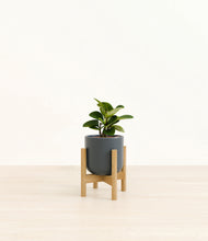 Load image into Gallery viewer, Iron Gray stand:bamboo