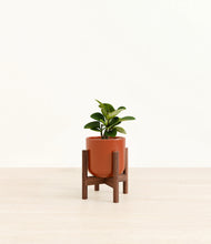 Load image into Gallery viewer, Glossy Red stand:walnut