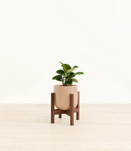 Load image into Gallery viewer, Glossy Pink stand:walnut