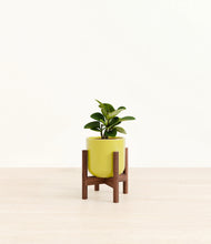 Load image into Gallery viewer, Key Lime Yellow stand:walnut