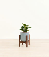 Load image into Gallery viewer, Misty Blue stand:walnut