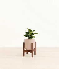 Load image into Gallery viewer, Sandy Pink stand:walnut