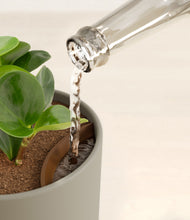 Load image into Gallery viewer, Sage Green stand:all