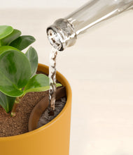 Load image into Gallery viewer, Sunset Orange stand:all