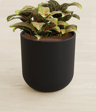 Load image into Gallery viewer, Stone Black stand:all