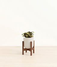 Load image into Gallery viewer, Natural Bamboo stand:walnut