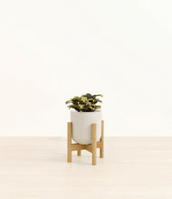 Load image into Gallery viewer, Natural Bamboo stand:bamboo