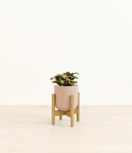 Load image into Gallery viewer, Sandy Pink stand:bamboo