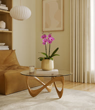 Load image into Gallery viewer, Almond Green