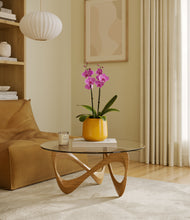 Load image into Gallery viewer, Mustard