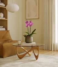 Load image into Gallery viewer, Olive