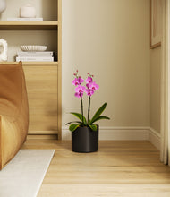 Load image into Gallery viewer, Black