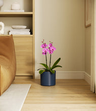 Load image into Gallery viewer, Deep Navy