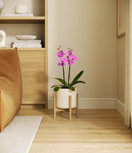 Load image into Gallery viewer, Cream stand:bamboo