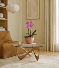 Load image into Gallery viewer, Calm Rose