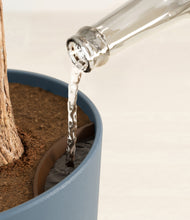 Load image into Gallery viewer, Iron Gray stand:all