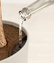 Load image into Gallery viewer, Natural Bamboo stand:all