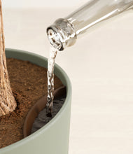 Load image into Gallery viewer, Sage Green stand:all