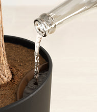 Load image into Gallery viewer, Stone Black stand:all