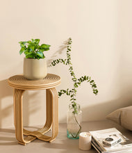 Load image into Gallery viewer, Almond Green