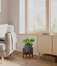 Load image into Gallery viewer, Deep Navy stand:walnut