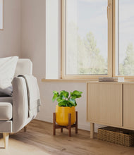 Load image into Gallery viewer, Mustard stand:walnut