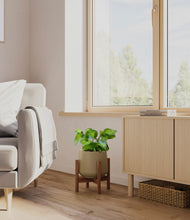 Load image into Gallery viewer, Olive stand:walnut