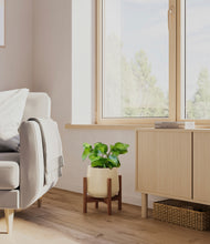 Load image into Gallery viewer, Almond Green stand:walnut