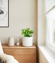 Load image into Gallery viewer, White
