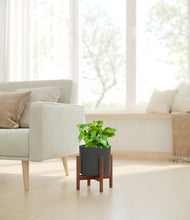 Load image into Gallery viewer, Dark Olive stand:walnut