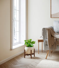 Load image into Gallery viewer, Shiny EggWhite stand:walnut