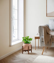 Load image into Gallery viewer, Calm Rose stand:walnut